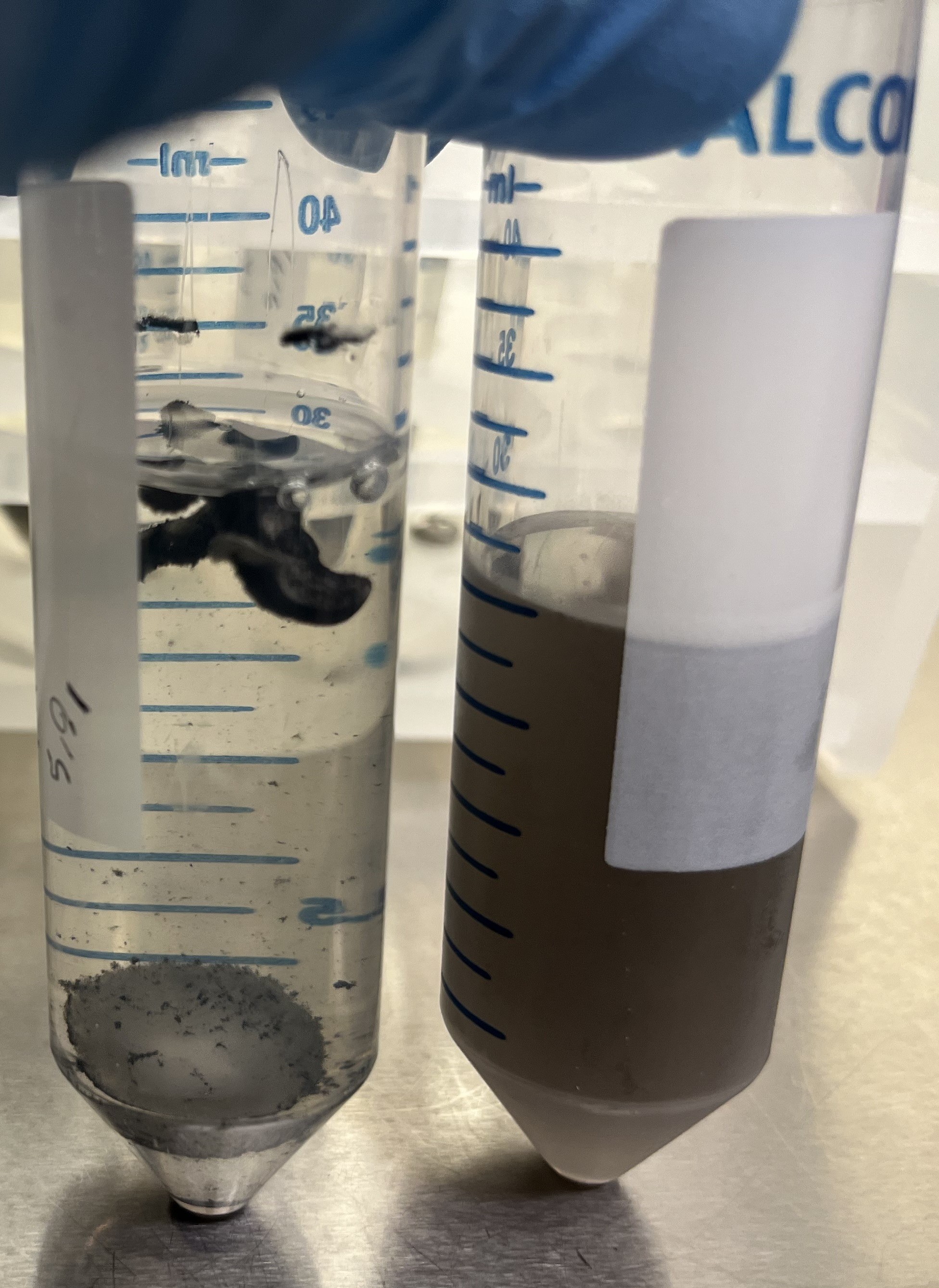 Char-Eating Microbial Collection
