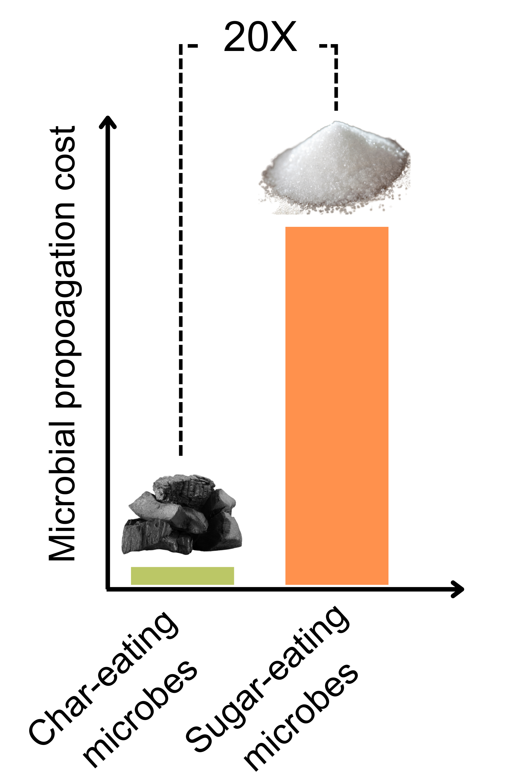 Cost Comparison: Char vs Sugar